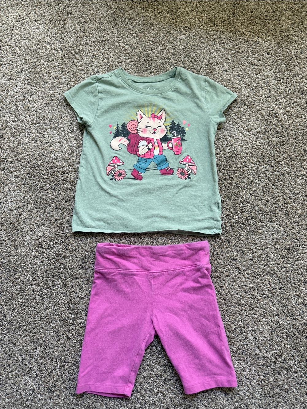 Little Girls Place Green Top & Pink Shorts 5/6
